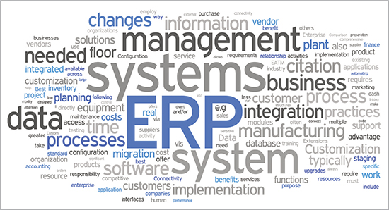 ERP Organizational Change and Applied Research: A Great Resource for Business and Practitioners