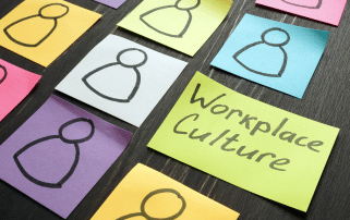 Navigating and Influencing Organizational Culture