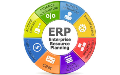 ERP Success Is a Democratic Process