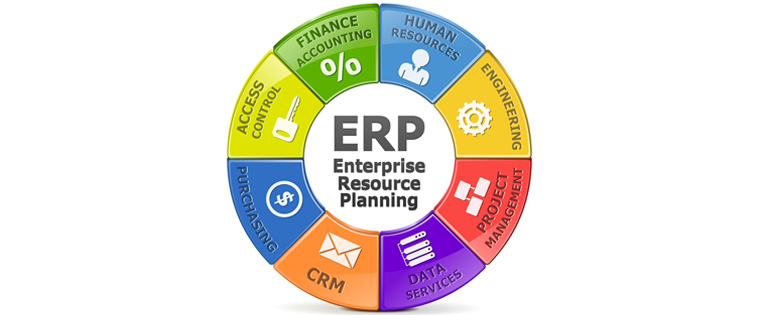 ERP Success Is a Democratic Process