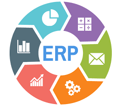 The Crucial Role of Organizational Culture in ERP Implementation