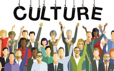 ERP Transformational Leadership: Does Leader-Culture Fit Matter?