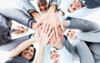 Cultivating Success with a Positive ERP Organizational Culture