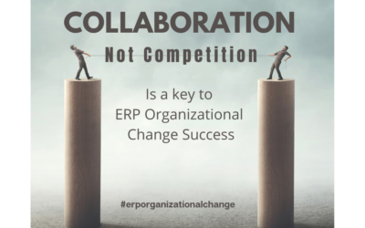 The Field of Enterprise Resource Planning (ERP) Organizational Change: Collaboration and Competition