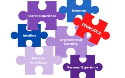 ERP Organizational Change Success: It’s a Matter of Applied Principle