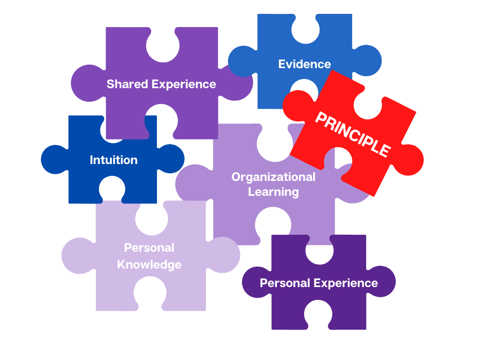 ERP Organizational Change Success: It’s a Matter of Applied Principle