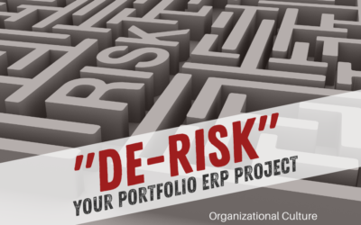 image of a maze representing the challenges navigating ERP Organizational Culture Risk Management and ERP Risk Management Strategies