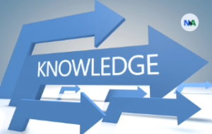 ERP Success & Organizational Knowledge