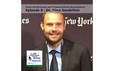 Episode 9: Practical Insights for ERP Success: Team Performance and Organizational Development