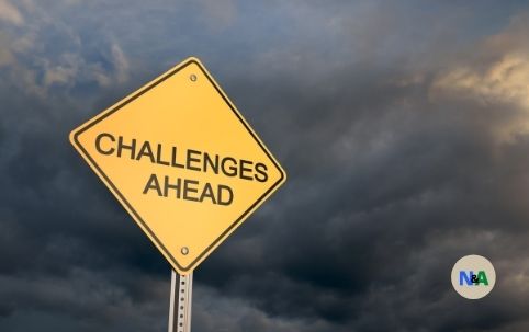 ERP Organizational Change Challenges and Disruption
