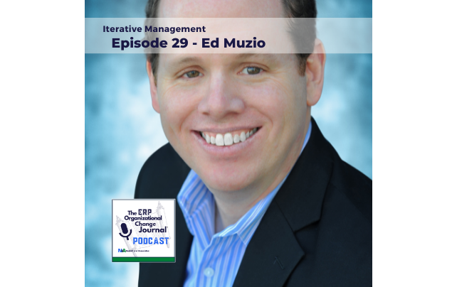 Episode 29: Iterative ERP Project Management