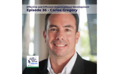 Episode 36: Effective and Efficient ERP Implementation Means Effective and Efficient Organizational Development