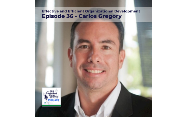 Episode 36: Effective and Efficient ERP Implementation Means Effective and Efficient Organizational Development