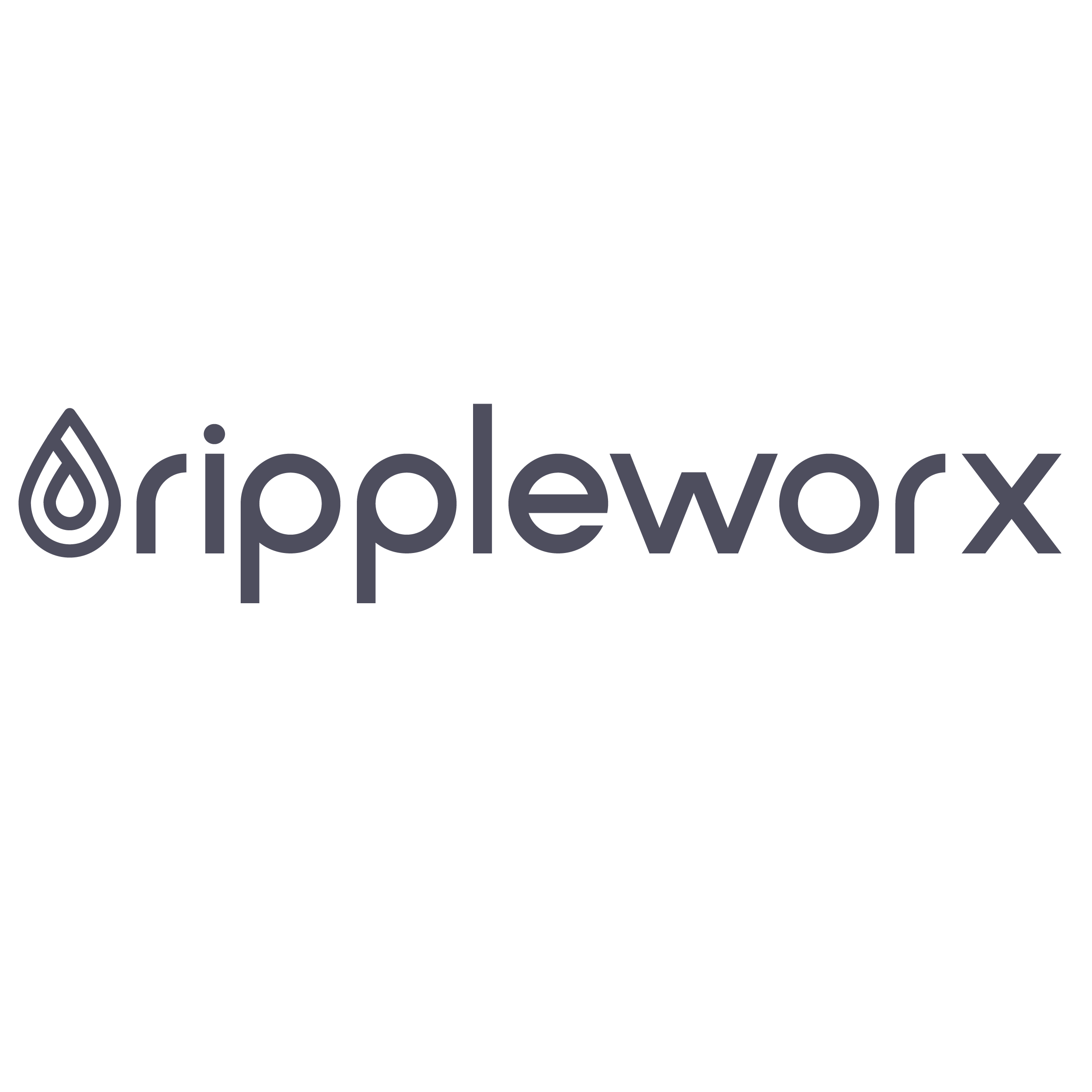 RippleWorx Platform Partner